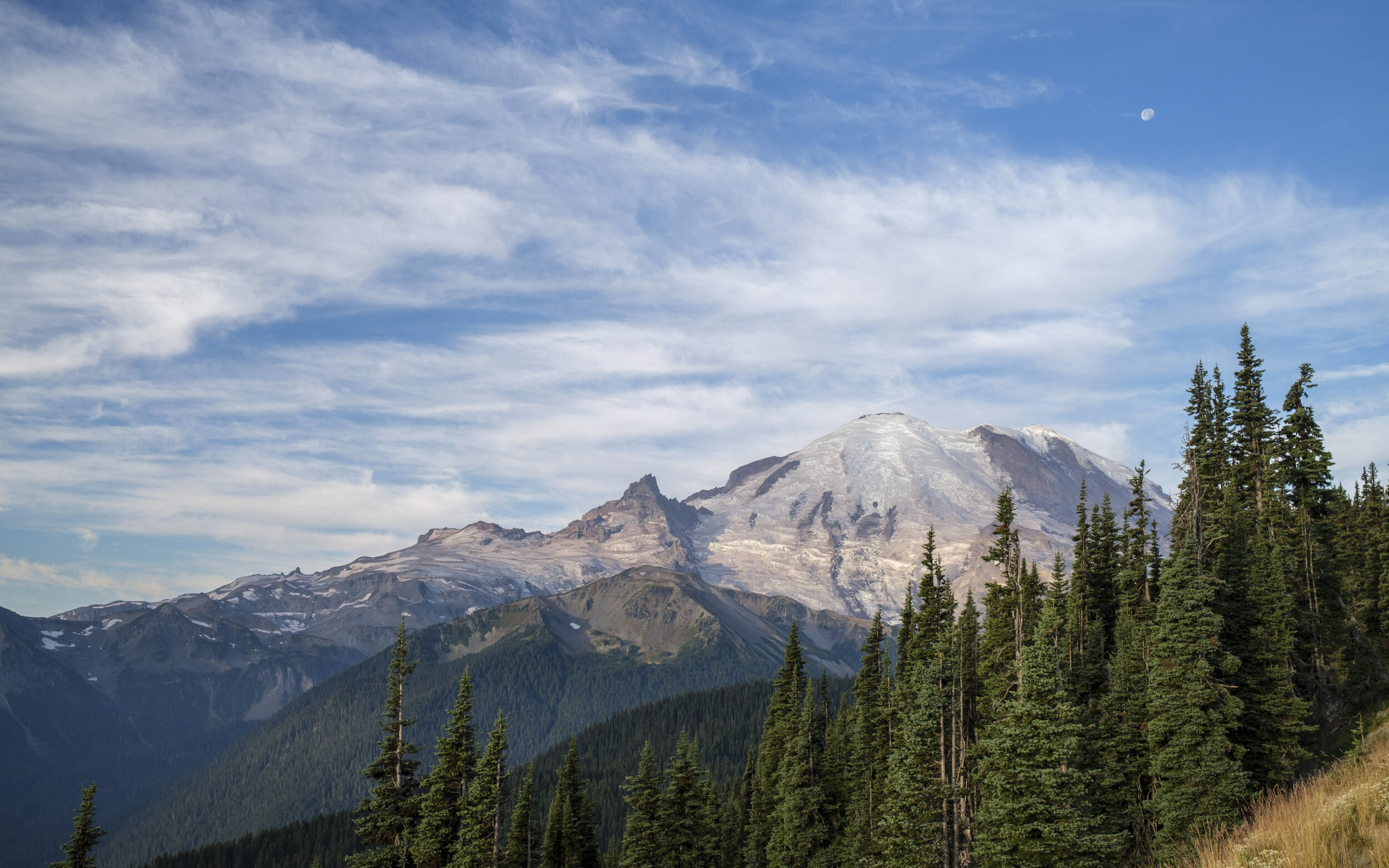Hundreds of Views of Mount Rainier