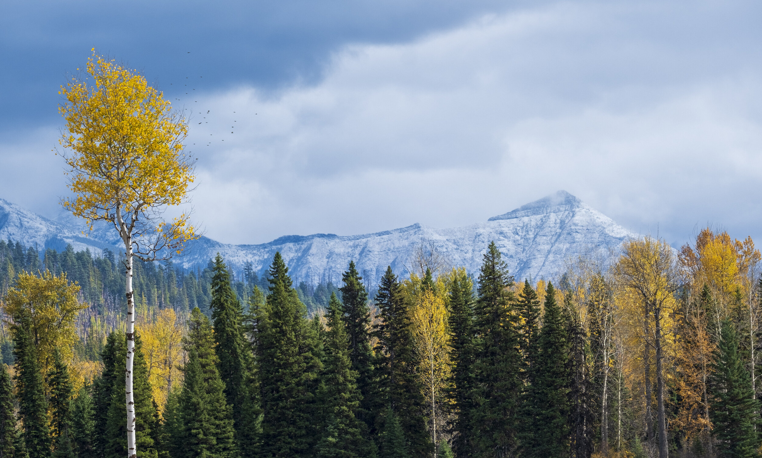 Moody Weather in Glacier National Park