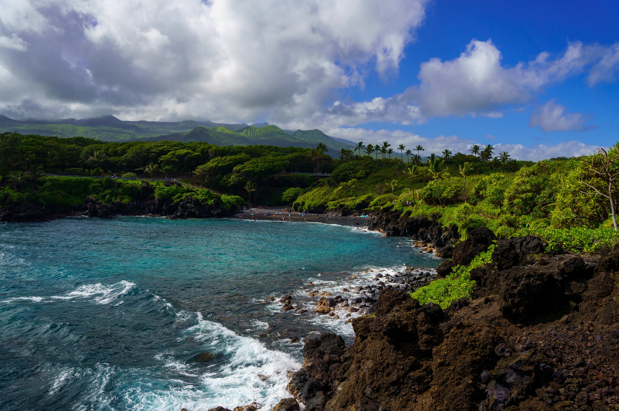 Bugs, Beaches, Banana Bread