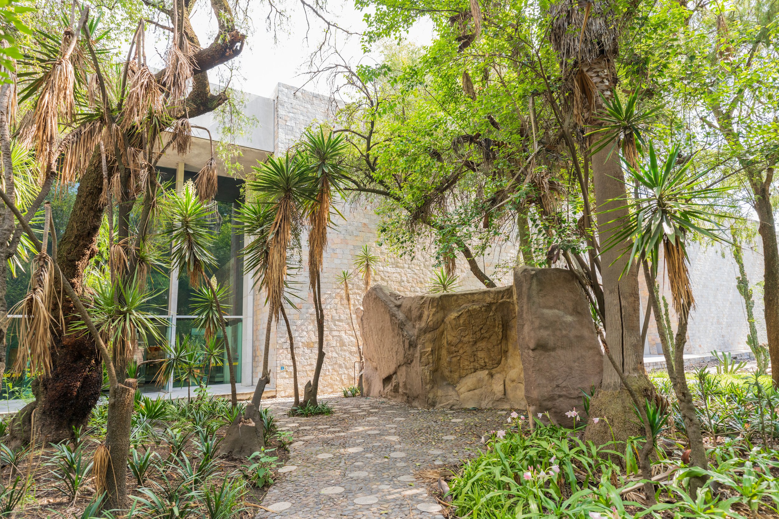 A Last-Minute Trip to Mexico City