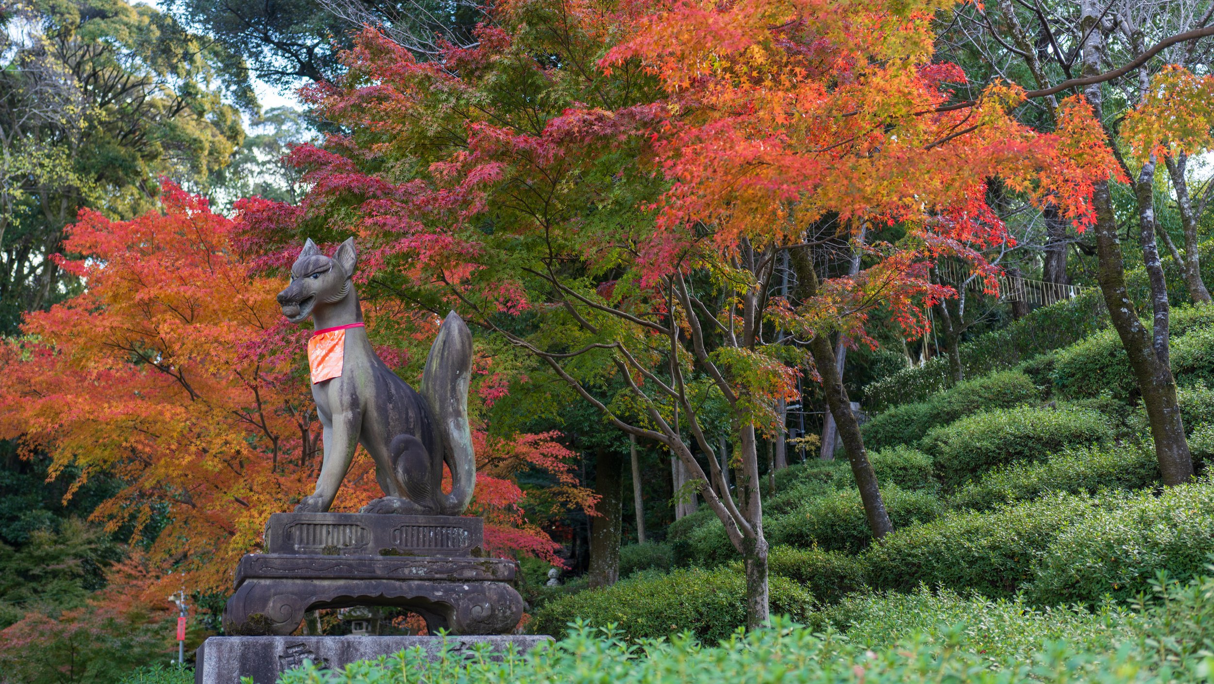 Thanksgiving in Japan, Part 2: Another Side of Honshu